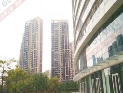 东悦街铺