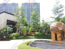 金茂绿岛湖