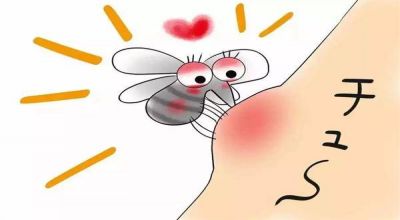 舒适家居 | 夏季蚊子惹人烦，教你几招让它无处栖身！