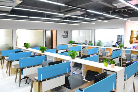 主营业务